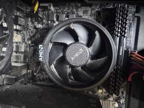AMD processor cooler fan with a thick layer of dust on the blades
