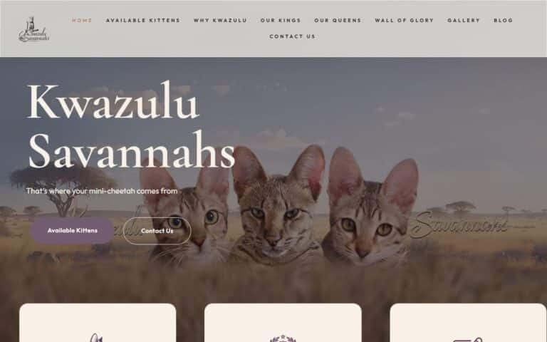 Home page of the Kwazulu Savannahs cat breeder website designed and built by We Make IT Happen