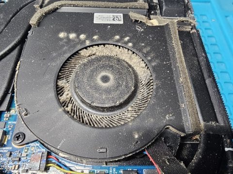 Laptop cooling fan covered in a thick layer of grey dust